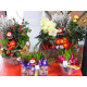 FLEURS ET PLANTES - NOËL