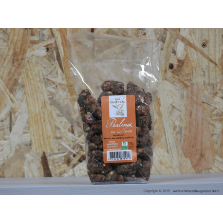 Pralines aux noix - PAUL GAUTREAU Pralines aux noix - PAUL GAUTREAU