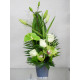Compositions florales, Plantes et Fleurs