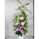 Compositions florales, Plantes et Fleurs