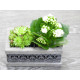 Compositions florales, Plantes et Fleurs