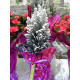 FLEURS ET PLANTES - NOËL