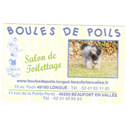 Boules de Poils