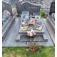 Nettoyage des monuments