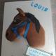 Les Cakes Designer