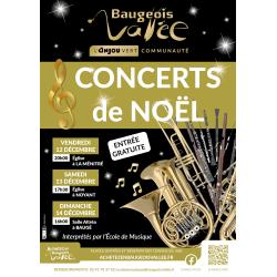 Concerts de Noël - Ecole de musique Baugeois-Vallée - 12, 13 et 14 décembre 2025