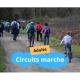 Circuits marches - Ronde des sangliers 2026