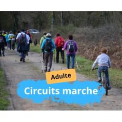 Circuits marches - Adulte - Ronde des sangliers 2026
