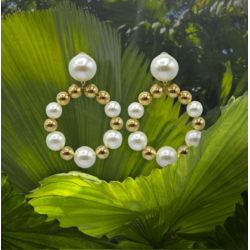 clips Francine Bramli