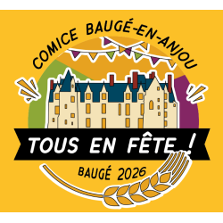 Restauration comice Baugé en Anjou 26