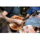 Festival Herbe Bleue
