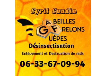 A.F.G. - Abeilles Frelons Guêpes - CYRIL GAUDIN