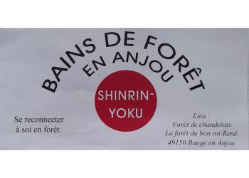 Bains de forêt en Anjou