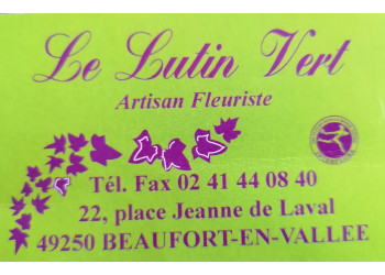 Le lutin vert
